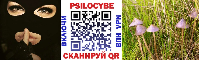 наркота  Кушва  Псилоцибиновые грибы мицелий 
